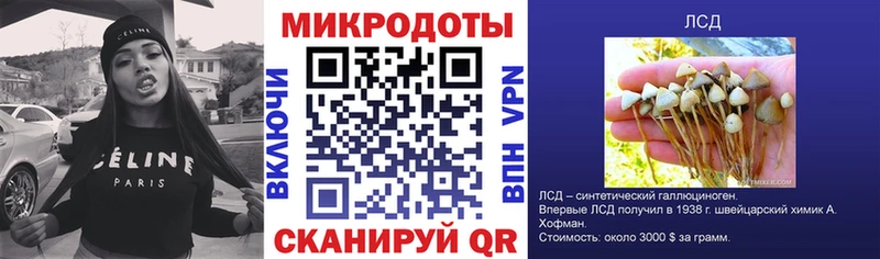 купить  сайты  Беломорск  Псилоцибиновые грибы прущие грибы 